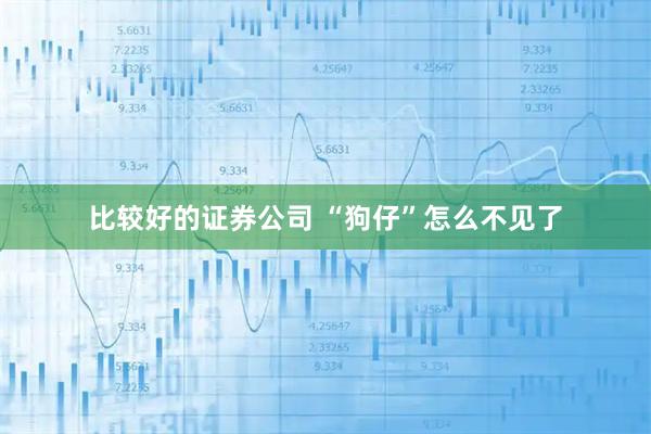 比较好的证券公司 “狗仔”怎么不见了